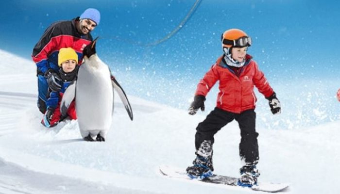 Ski Dubai Snow Park 3